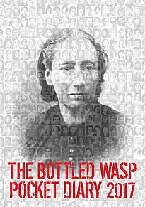 Bottled Wasp 2017 cover